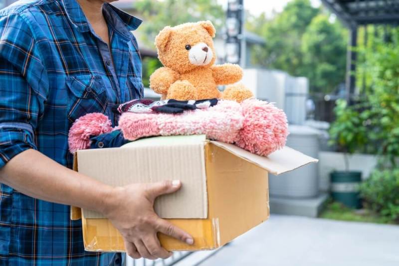 hogares - sustitutos - clark