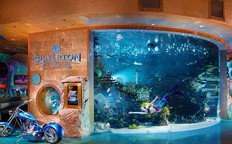 Age Pays Off With These 21 Senior Discounts In Las Vegas