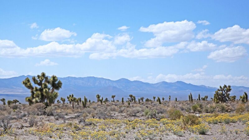 Places in Nevada that are just as cool as their more famous counterparts
