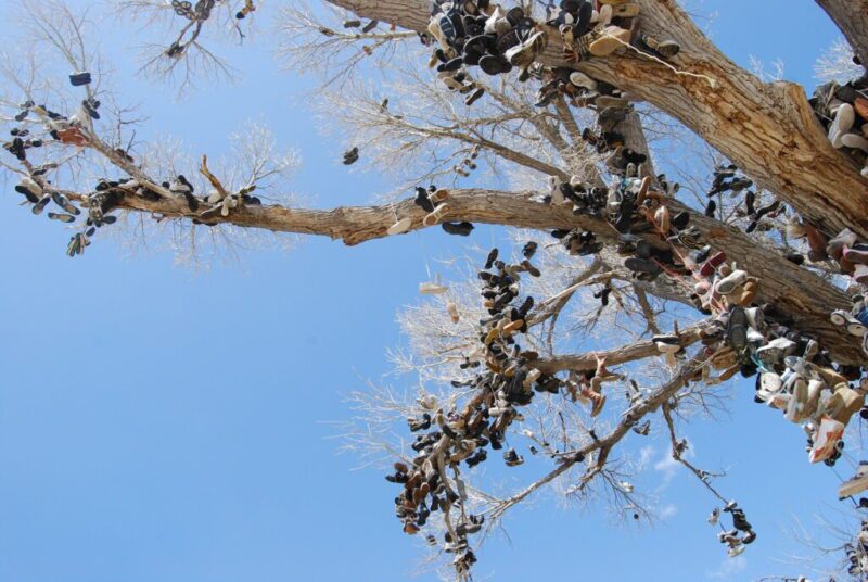 7 of the Weirdest Roadside Attractions in Nevada