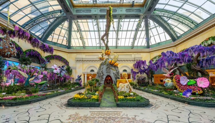 7 gorgeous public gardens in Las Vegas