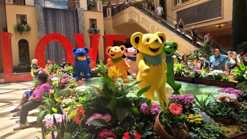 7 gorgeous public gardens in Las Vegas