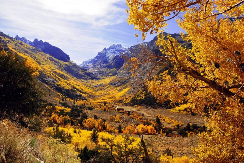 northern nevada is a great place to go leaf peeping in the fall