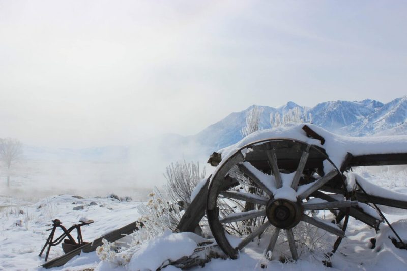 Whether it’s a day trip or a weekend getaway, Nevada’s small towns provide an array of options for entertaining the whole family, and some are a short drive from the Biggest Little City.