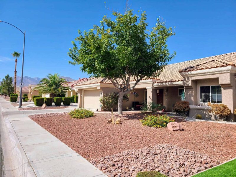 Las Vegas is offering free trees (and an irrigation system!) to residents in select zip codes.