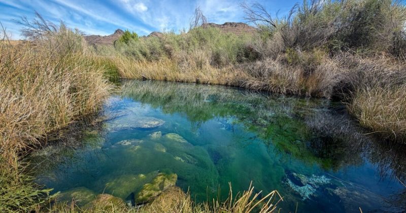 Nevada’s Amargosa River has the dubious distinction of making the top 10 list of "most endangered" rivers in the United States, according to a new report.